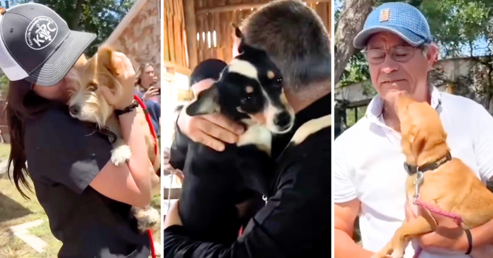 Tears Flow As Pet Owners & Their Dogs Reunite After Catastrophic Texas Floods