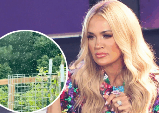 Carrie Underwood Gets Surrounded By Massive Swarm Of Bees While Picking Blueberries