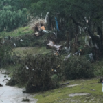 Families confirm multiple campers did not survive deadly Texas flooding