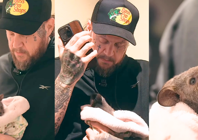Jelly Roll Was “Fixing To Faint” After Getting To Hold A Baby Quokka In Australia