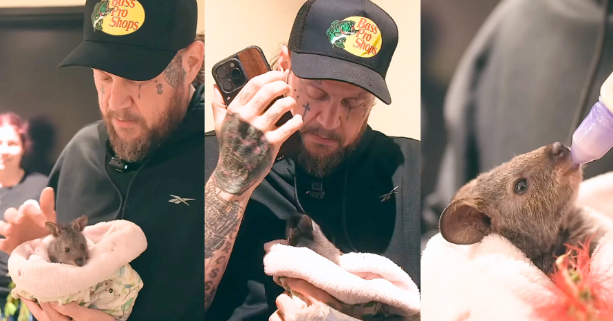 Jelly Roll Was “Fixing To Faint” After Getting To Hold A Baby Quokka In Australia