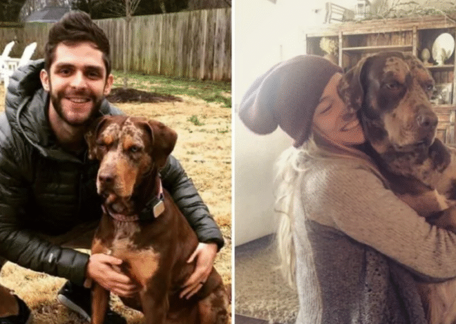 Thomas Rhett Grieves the Loss of Kona, His Second Family Dog to Pass Away in Just Six Weeks