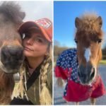 Miranda Lambert Mourns Loss of Beloved Mini Horses Sugar Pie and Adrianna