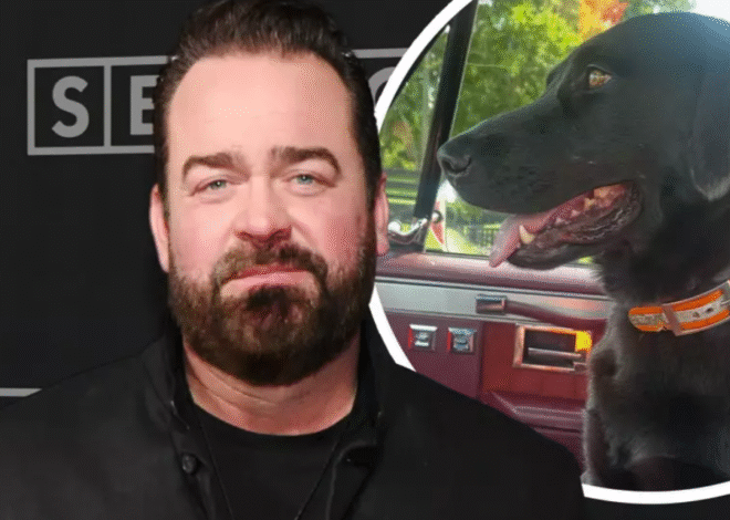 Lee Brice Asking for Help To Find Pregnant, Missing Dog Charlee