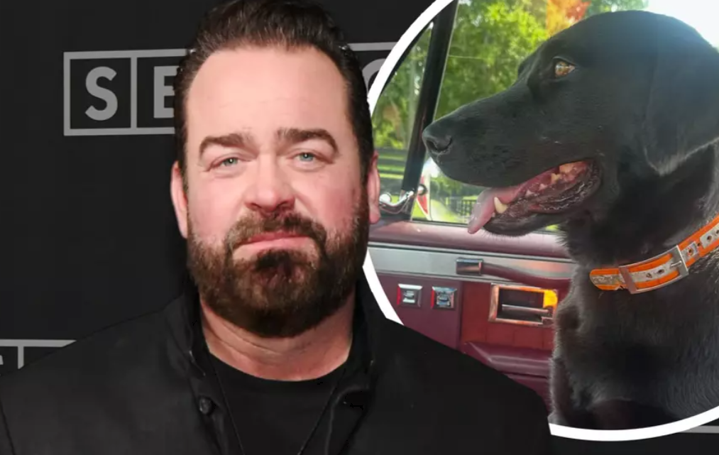 Lee Brice Asking for Help To Find Pregnant, Missing Dog Charlee